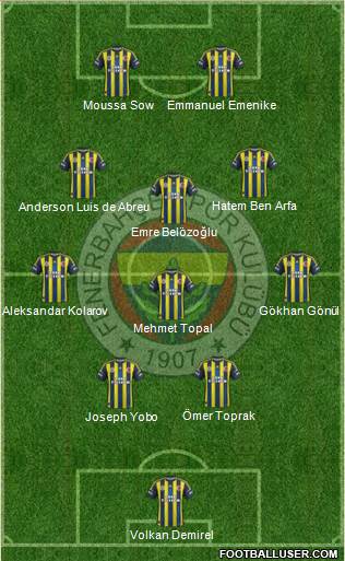 Fenerbahçe SK Formation 2013