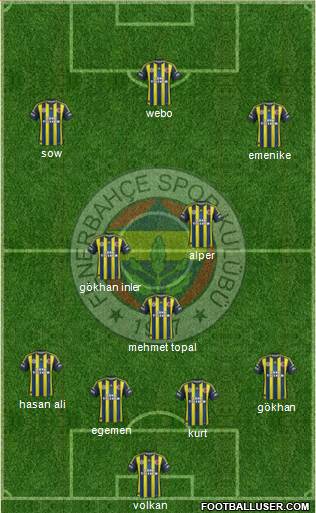 Fenerbahçe SK Formation 2013