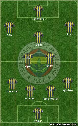 Fenerbahçe SK Formation 2013