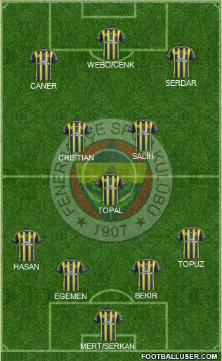 Fenerbahçe SK Formation 2013