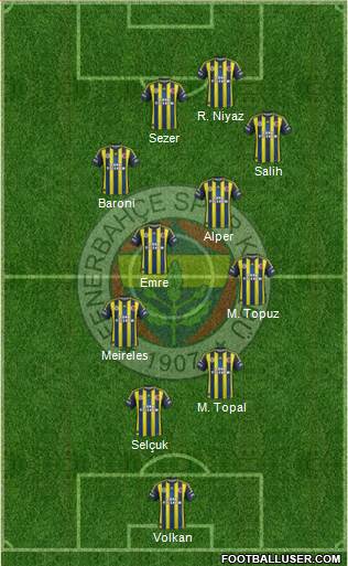 Fenerbahçe SK Formation 2013