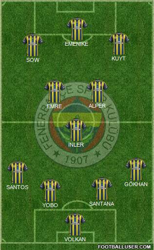 Fenerbahçe SK Formation 2013