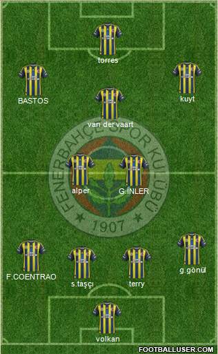 Fenerbahçe SK Formation 2013