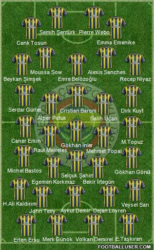 Fenerbahçe SK Formation 2013