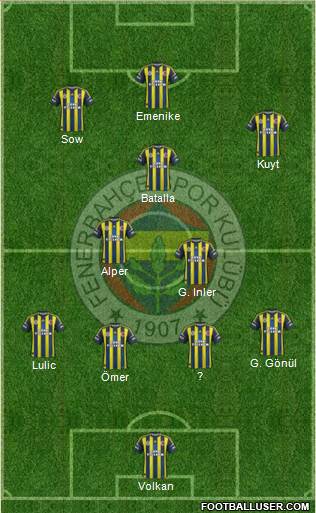 Fenerbahçe SK Formation 2013