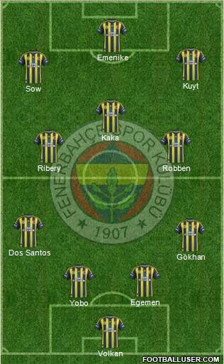Fenerbahçe SK Formation 2013