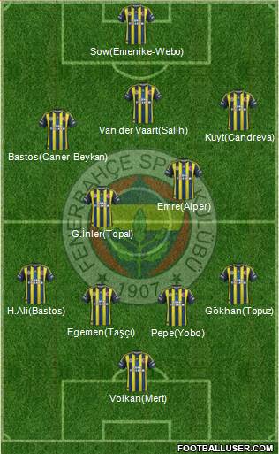 Fenerbahçe SK Formation 2013