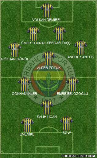 Fenerbahçe SK Formation 2013