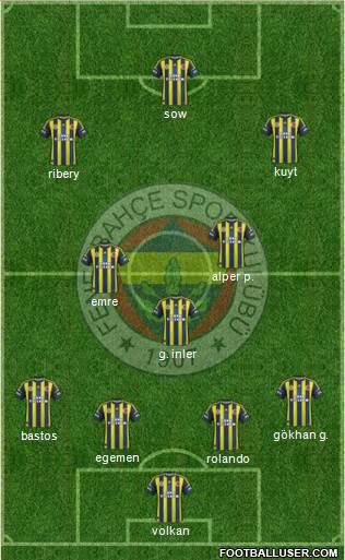 Fenerbahçe SK Formation 2013