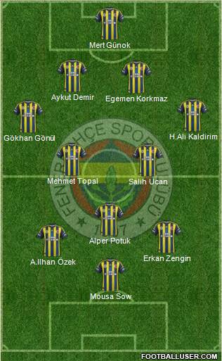 Fenerbahçe SK Formation 2013