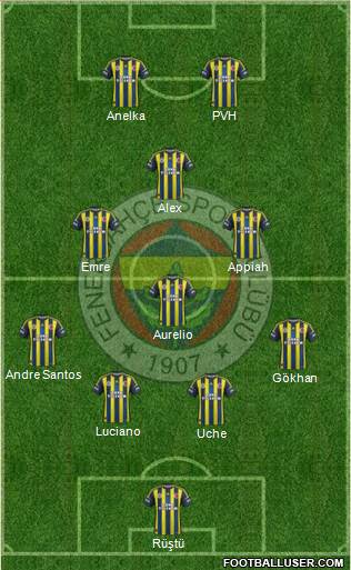 Fenerbahçe SK Formation 2013