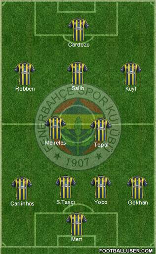 Fenerbahçe SK Formation 2013