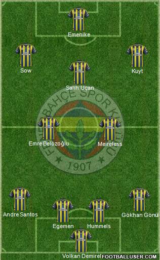 Fenerbahçe SK Formation 2013