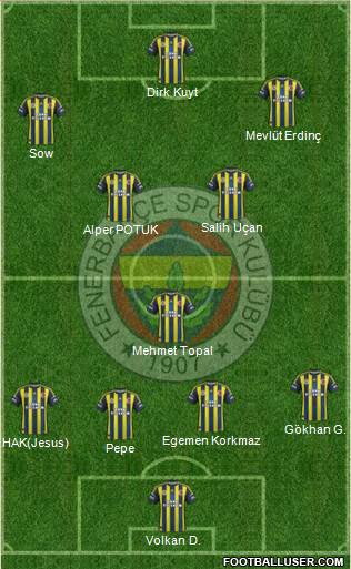 Fenerbahçe SK Formation 2013