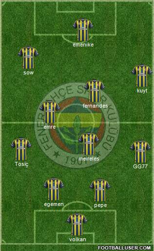 Fenerbahçe SK Formation 2013