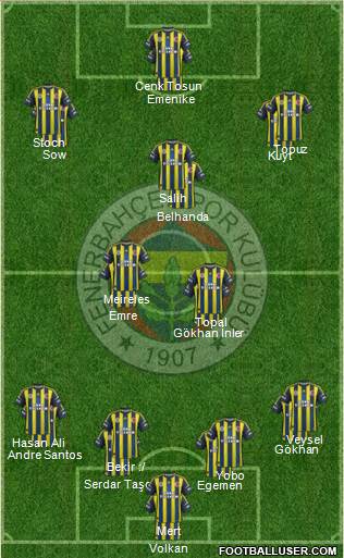 Fenerbahçe SK Formation 2013