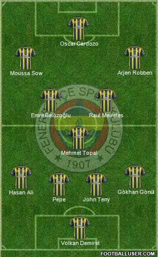 Fenerbahçe SK Formation 2013