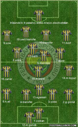 Fenerbahçe SK Formation 2013