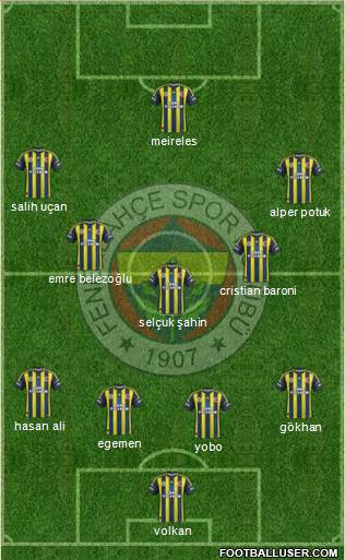 Fenerbahçe SK Formation 2013