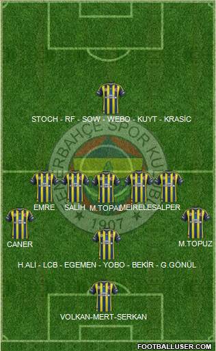 Fenerbahçe SK Formation 2013