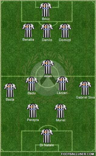 Udinese Formation 2013