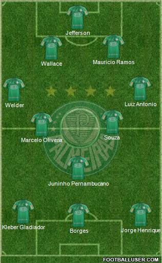 SE Palmeiras Formation 2013