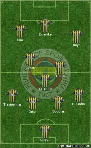 Fenerbahçe SK Formation 2013