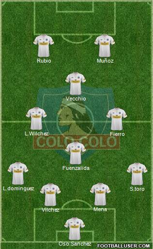 CSD Colo Colo Formation 2013