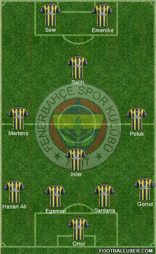 Fenerbahçe SK Formation 2013