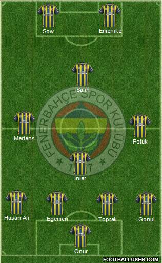 Fenerbahçe SK Formation 2013
