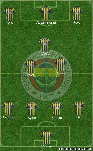 Fenerbahçe SK Formation 2013
