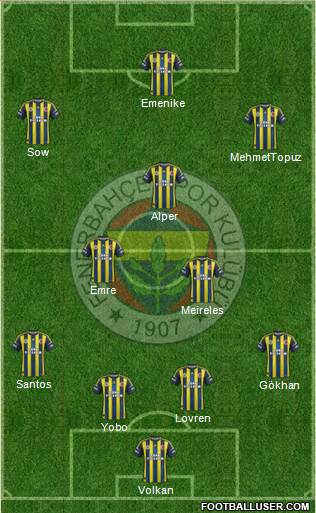 Fenerbahçe SK Formation 2013