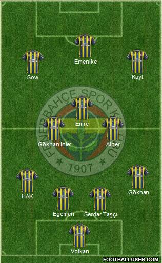 Fenerbahçe SK Formation 2013