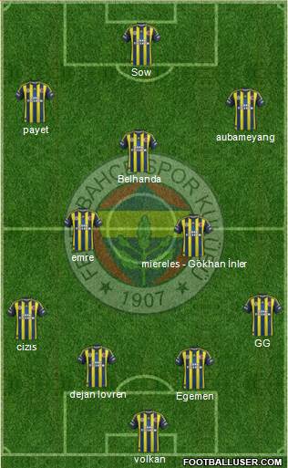Fenerbahçe SK Formation 2013