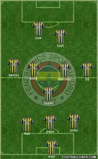 Fenerbahçe SK Formation 2013