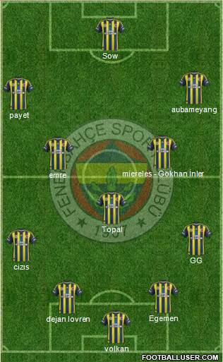 Fenerbahçe SK Formation 2013
