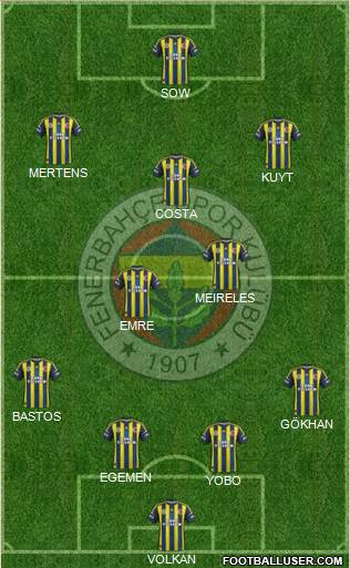 Fenerbahçe SK Formation 2013