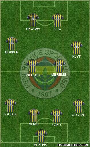 Fenerbahçe SK Formation 2013