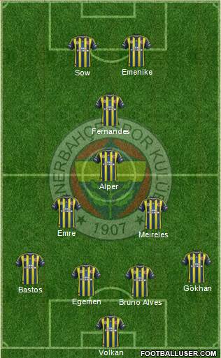 Fenerbahçe SK Formation 2013