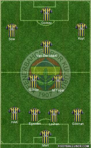 Fenerbahçe SK Formation 2013