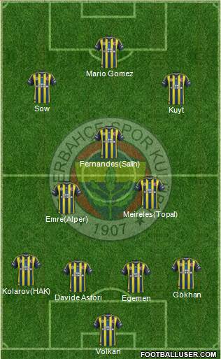 Fenerbahçe SK Formation 2013
