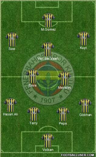 Fenerbahçe SK Formation 2013