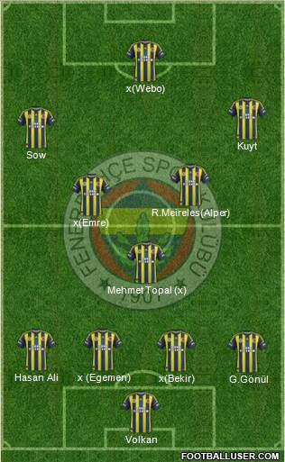 Fenerbahçe SK Formation 2013