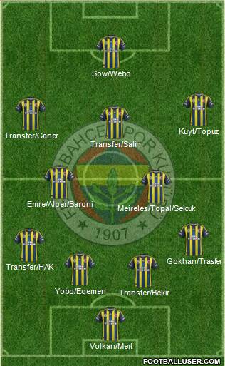 Fenerbahçe SK Formation 2013