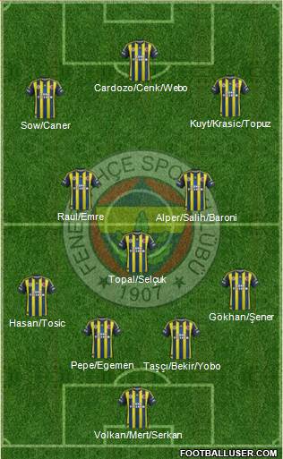 Fenerbahçe SK Formation 2013