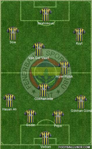 Fenerbahçe SK Formation 2013