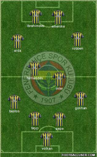 Fenerbahçe SK Formation 2013