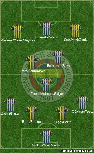 Fenerbahçe SK Formation 2013