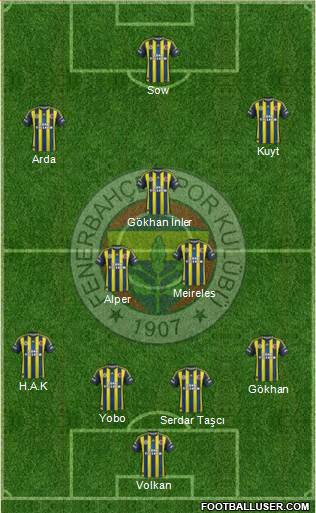 Fenerbahçe SK Formation 2013
