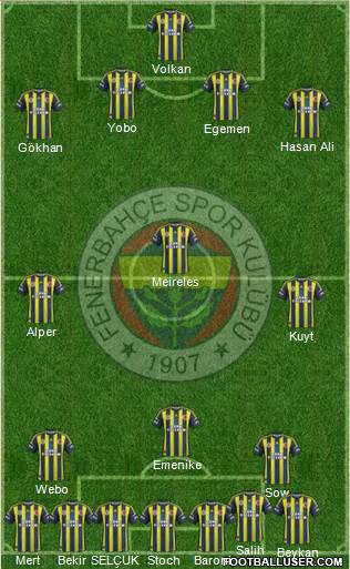 Fenerbahçe SK Formation 2013